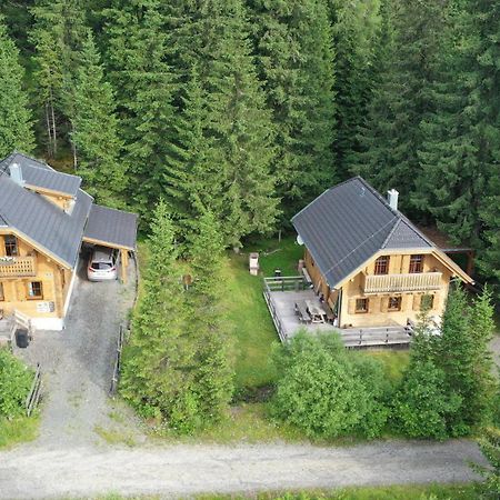 Almhaus & Almchalet Flattnitz المظهر الخارجي الصورة