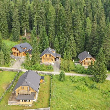 Almhaus & Almchalet Flattnitz المظهر الخارجي الصورة