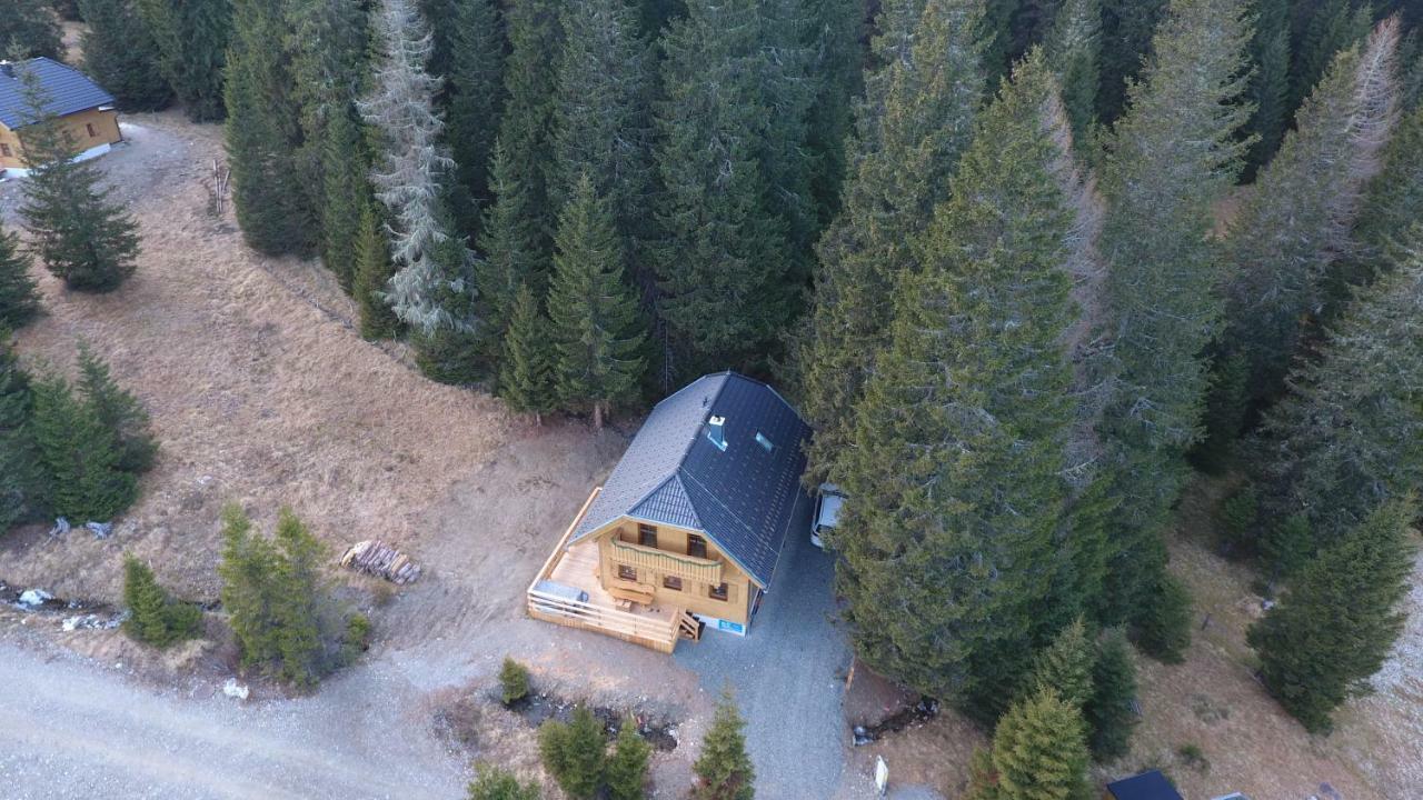 Almhaus & Almchalet Flattnitz المظهر الخارجي الصورة