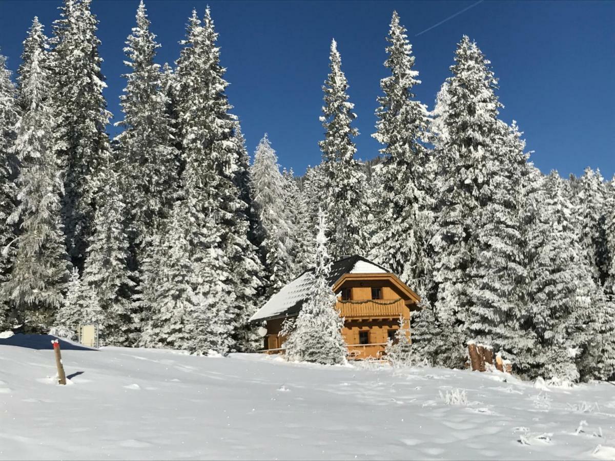Almhaus & Almchalet Flattnitz المظهر الخارجي الصورة