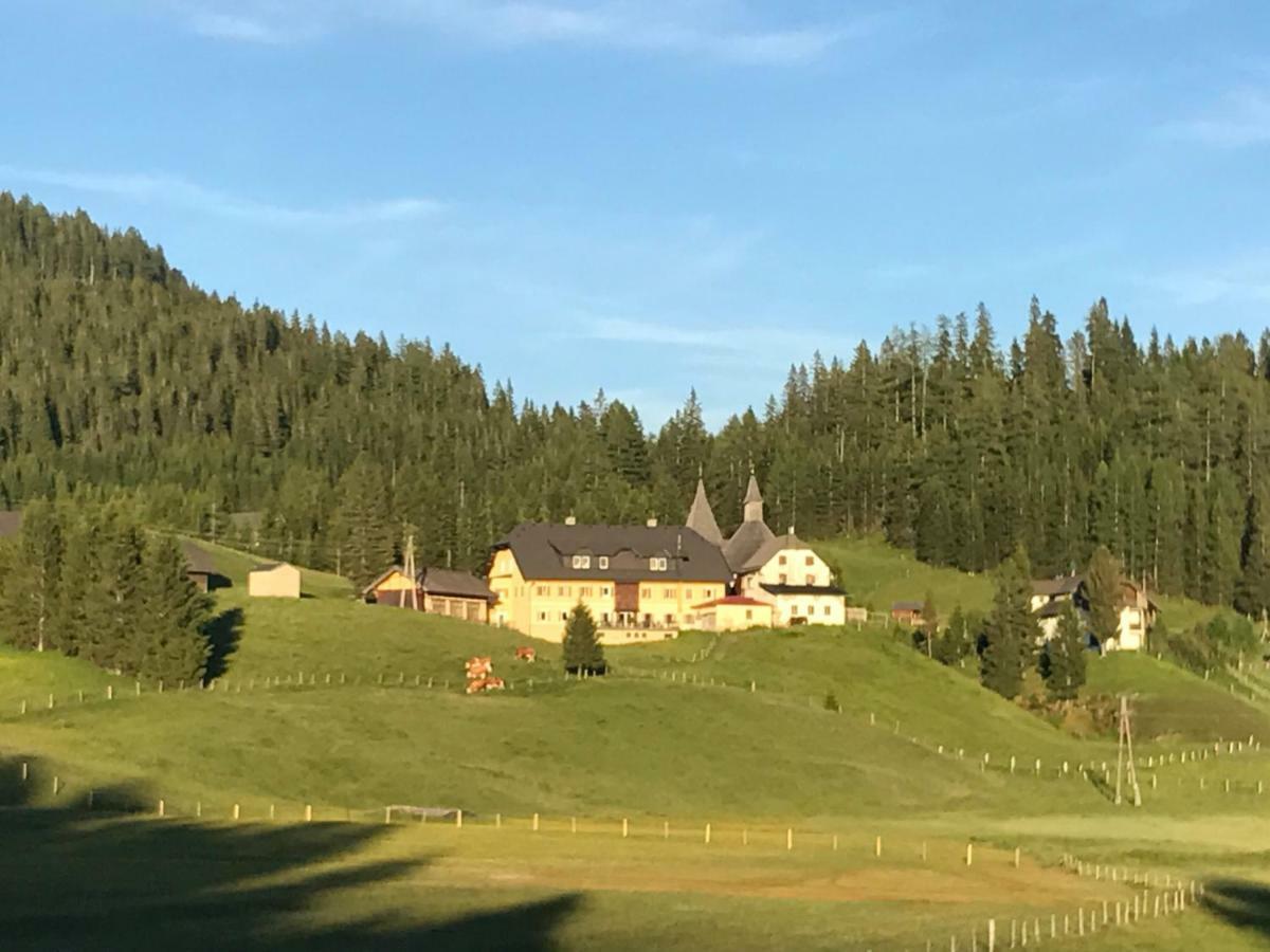Almhaus & Almchalet Flattnitz المظهر الخارجي الصورة